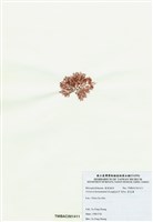 藏品(浪花藻)的圖片